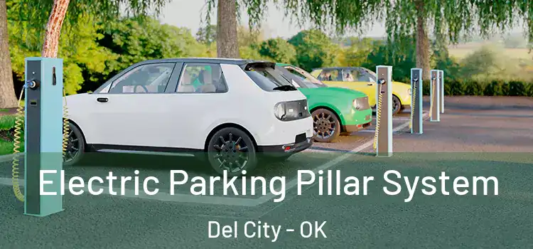  Electric Parking Pillar System Del City - OK