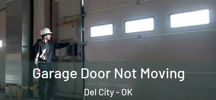  Garage Door Not Moving Del City - OK
