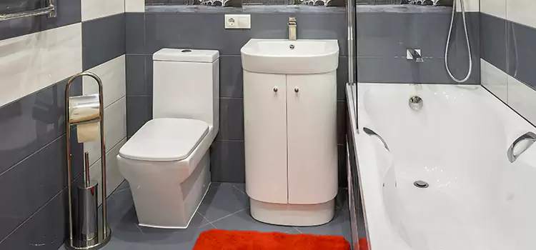 Hansgrohe Shaving Mirror Del City