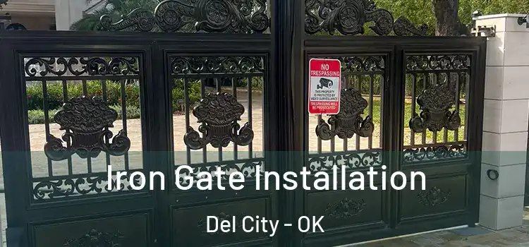 Iron Gate Installation Del City - OK